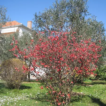 With Parking Space - Diklo, - 14750 Apartman *