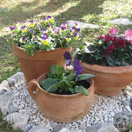 Apartman With Parking Space - Diklo, - 14750