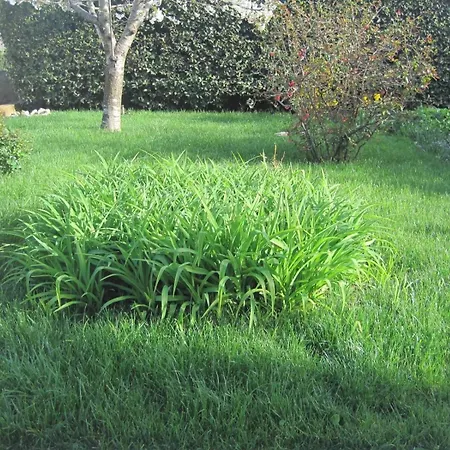 With Parking Space - Diklo, - 14750 Apartman Zadar