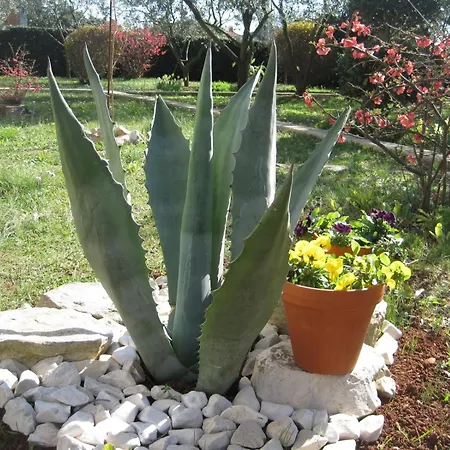 With Parking Space - Diklo, - 14750 *